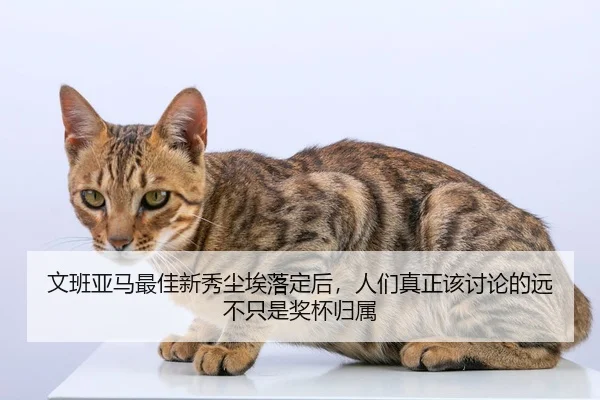 文班亚马最佳新秀尘埃落定后，人们真正该讨论的远不只是奖杯归属